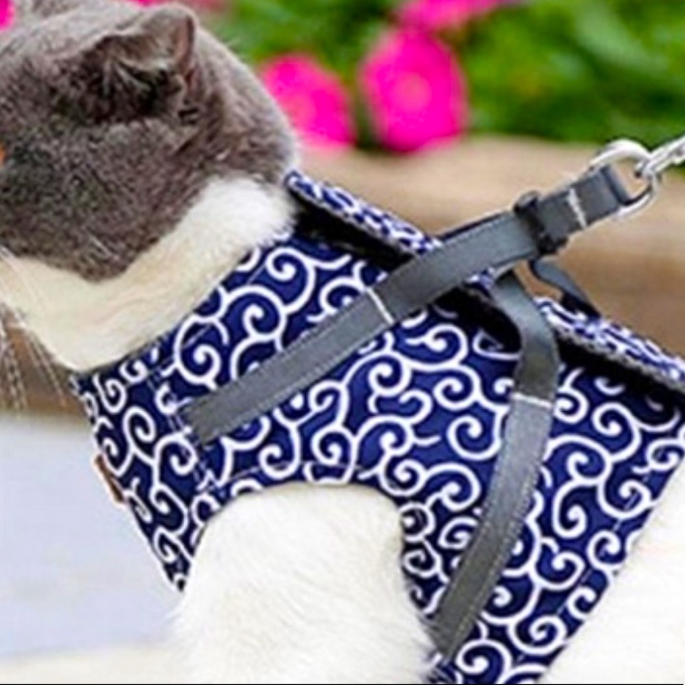 🐈 💎 • 🐱 SURE PET 🐱• 💎 … Patterned luvin’ 💋